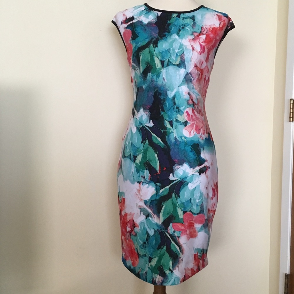 Bisou Bisou watercolor floral sheath dress.
